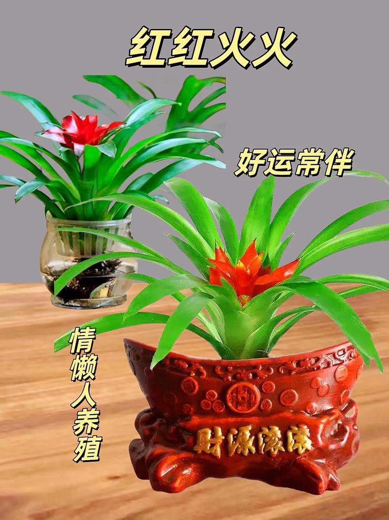 福建漳州